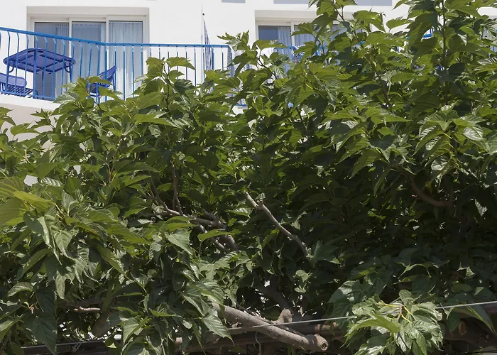 La Reine Jane 3* Hyères